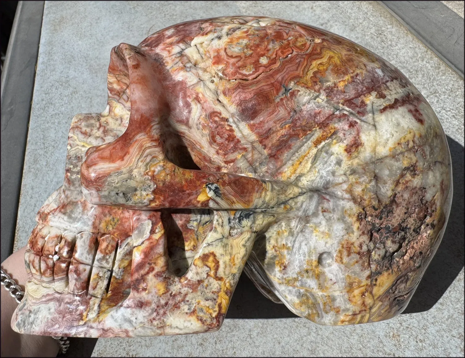 ~Super Sale~ LifeSize RED Crazy Lace Agate Crystal Skull - Laughter, Divination - 15lbs 