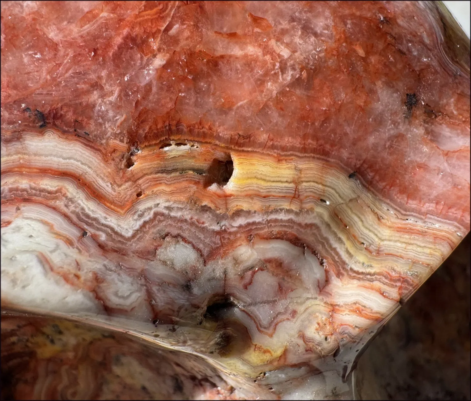 ~Super Sale~ LifeSize RED Crazy Lace Agate Crystal Skull - Laughter, Divination - 15lbs 