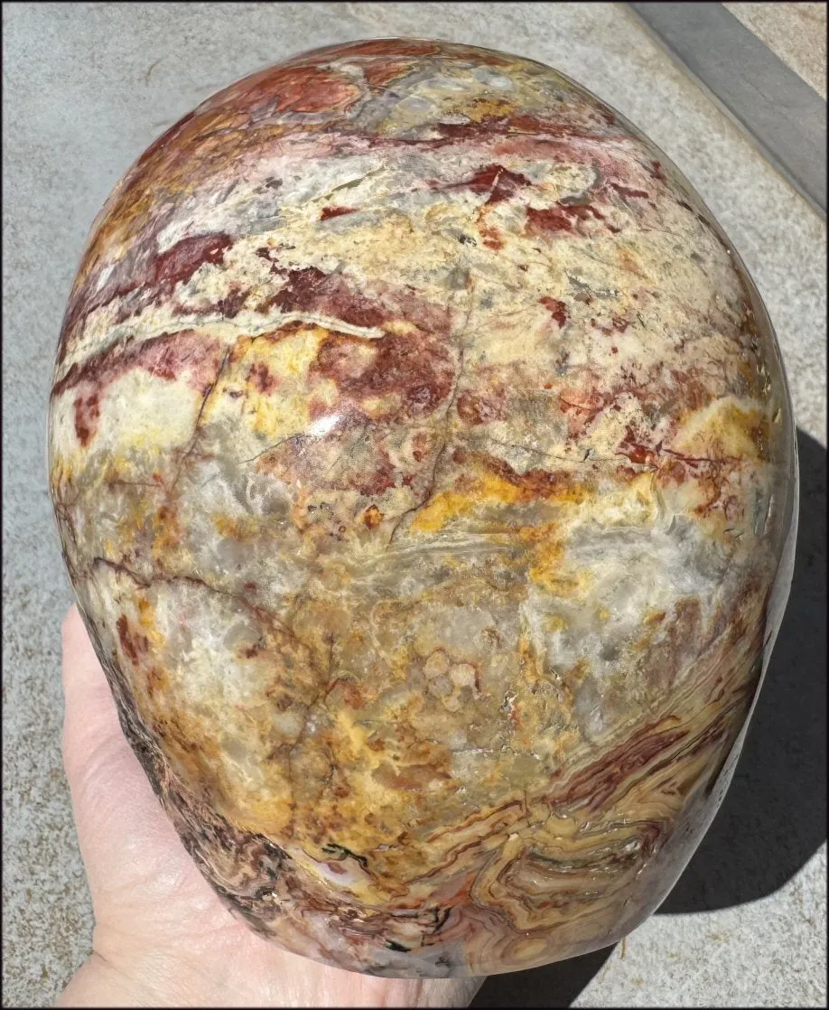 ~Super Sale~ LifeSize RED Crazy Lace Agate Crystal Skull - Laughter, Divination - 15lbs 