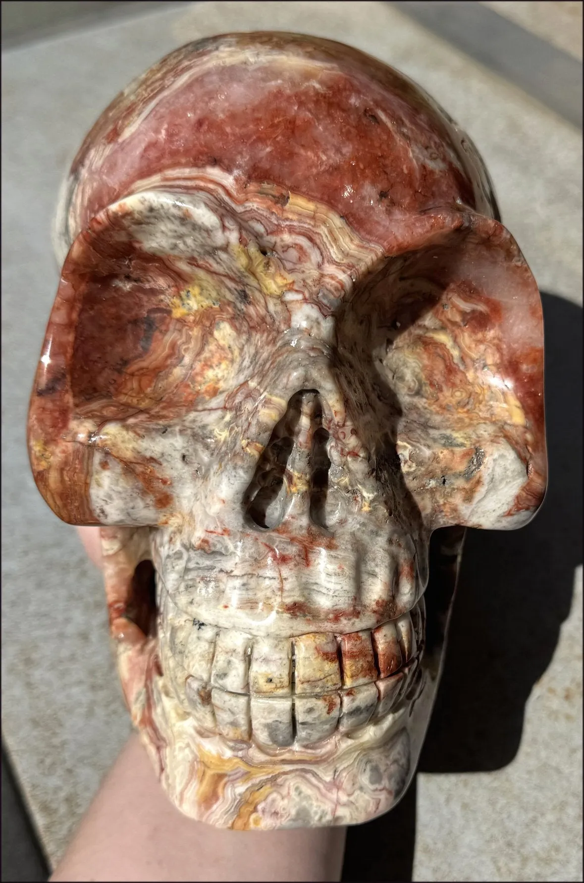 ~Super Sale~ LifeSize RED Crazy Lace Agate Crystal Skull - Laughter, Divination - 15lbs 