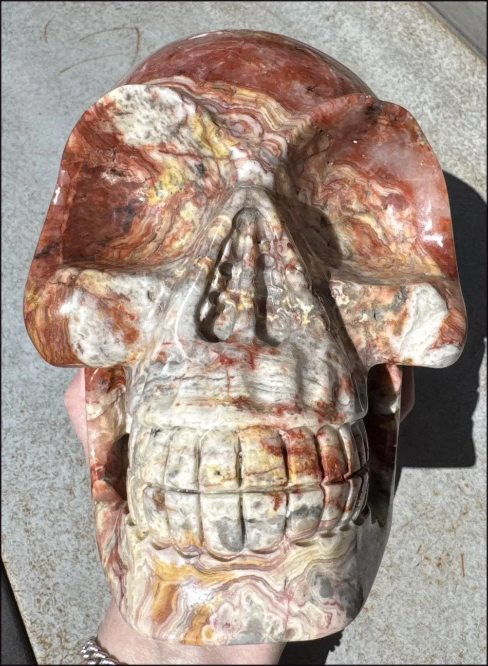~Super Sale~ LifeSize RED Crazy Lace Agate Crystal Skull - Laughter, Divination - 15lbs 