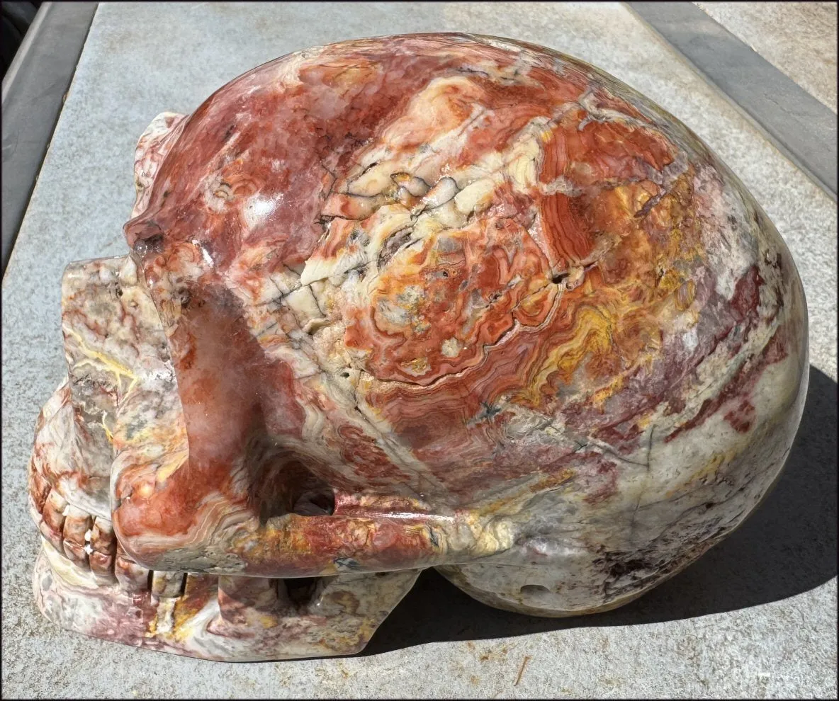 ~Super Sale~ LifeSize RED Crazy Lace Agate Crystal Skull - Laughter, Divination - 15lbs 