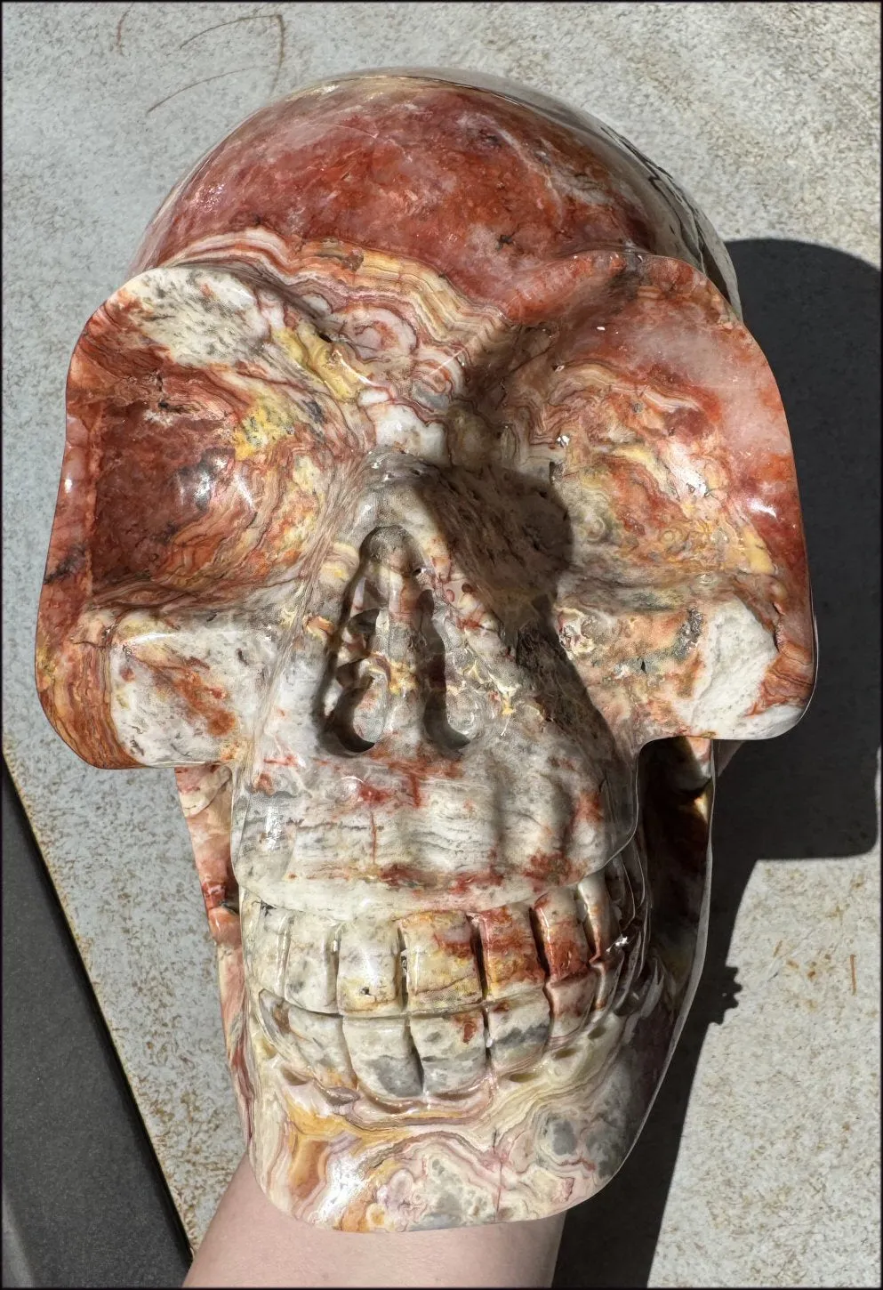 ~Super Sale~ LifeSize RED Crazy Lace Agate Crystal Skull - Laughter, Divination - 15lbs 