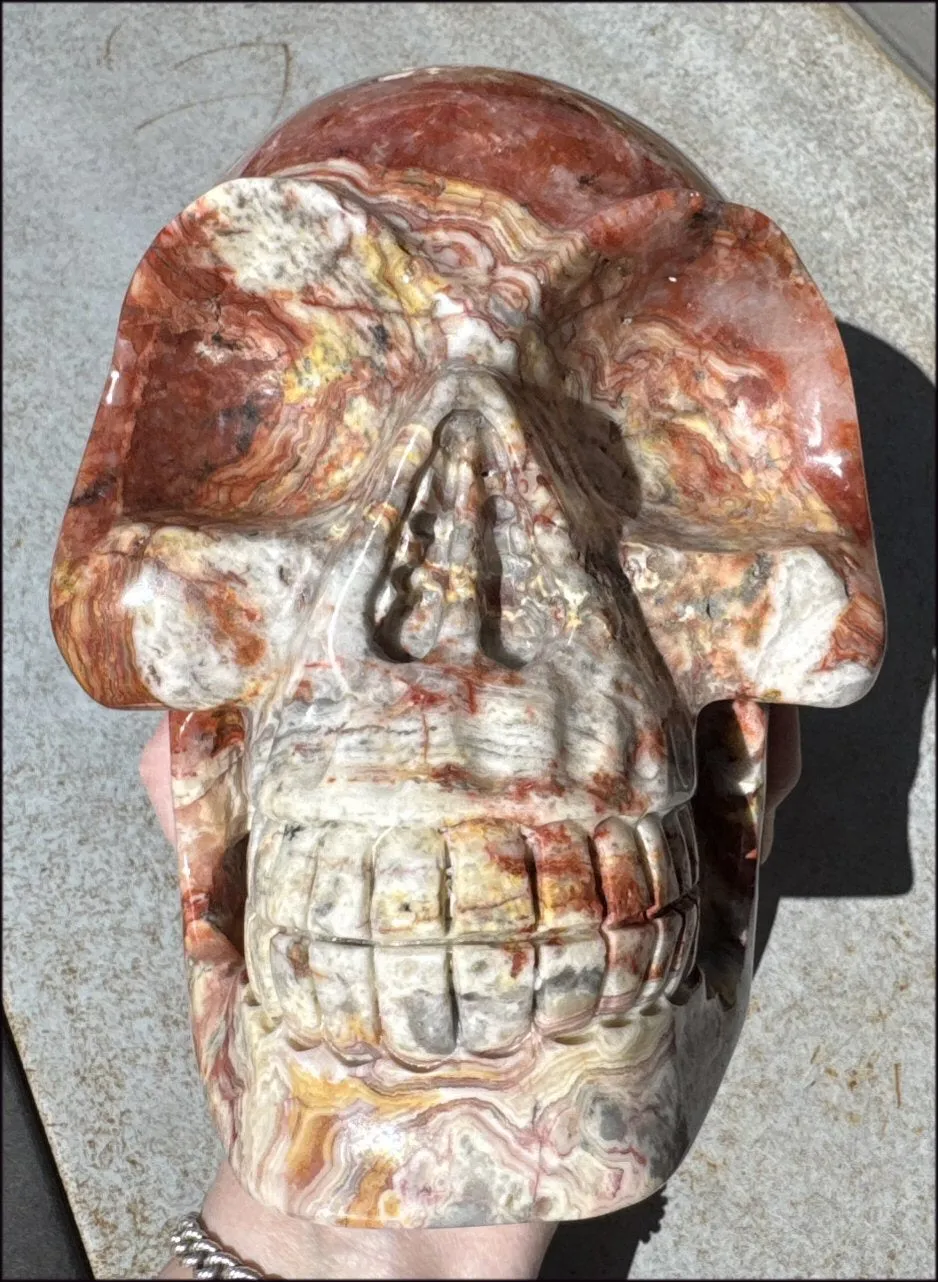 ~Super Sale~ LifeSize RED Crazy Lace Agate Crystal Skull - Laughter, Divination - 15lbs 