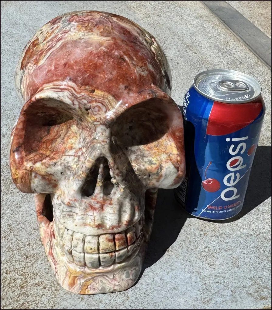 ~Super Sale~ LifeSize RED Crazy Lace Agate Crystal Skull - Laughter, Divination - 15lbs 