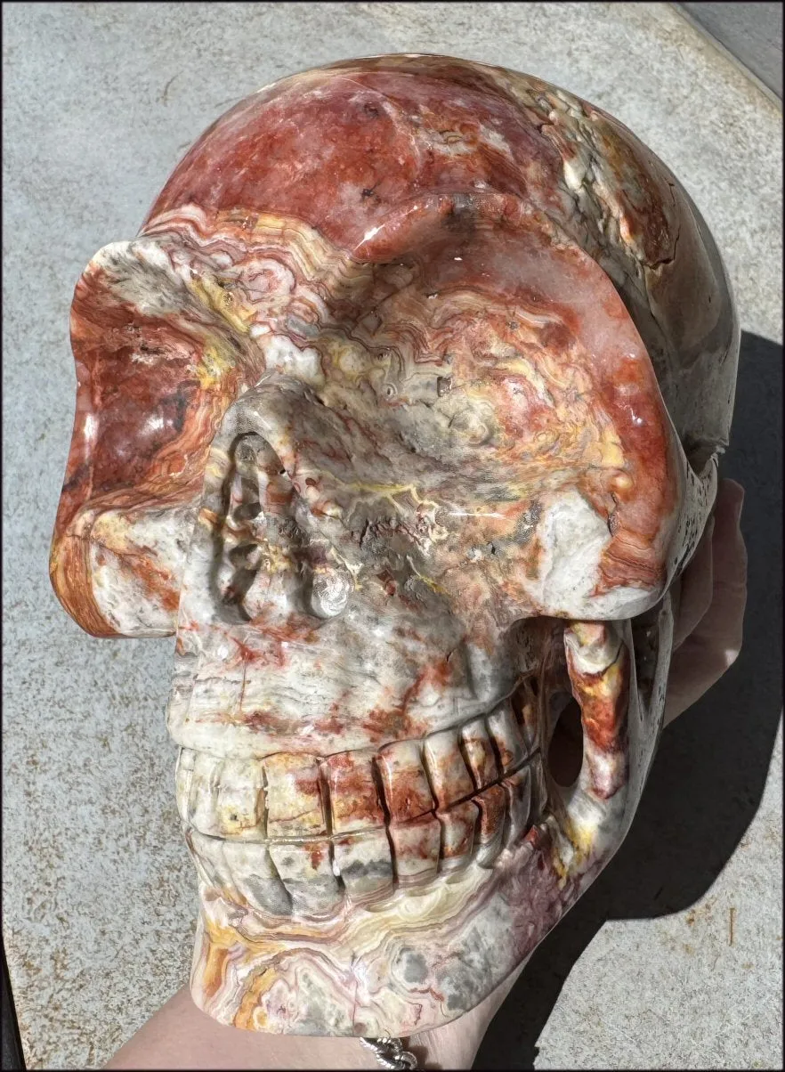 ~Super Sale~ LifeSize RED Crazy Lace Agate Crystal Skull - Laughter, Divination - 15lbs 