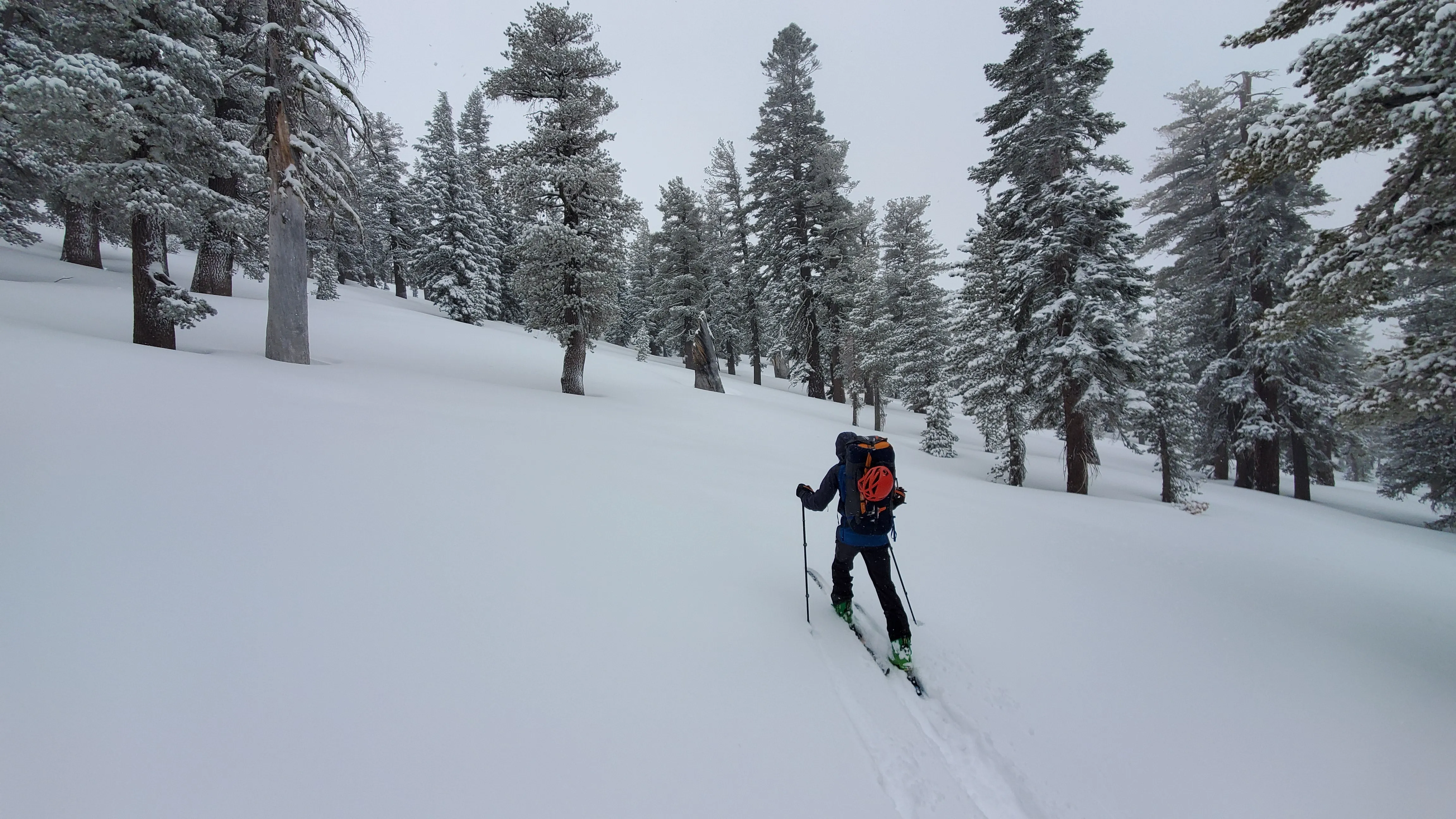 Tahoe Backcountry Skiing & Splitboarding