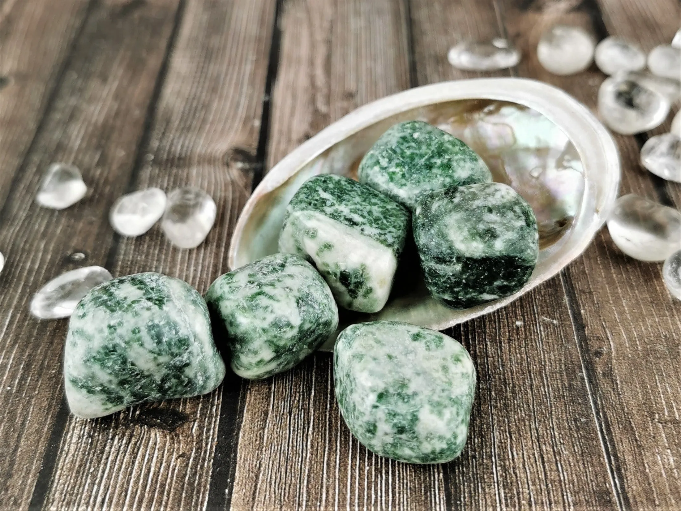 Tree Agate Tumbled Stones