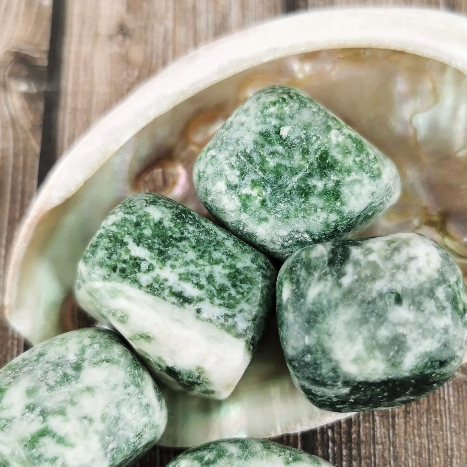 Tree Agate Tumbled Stones
