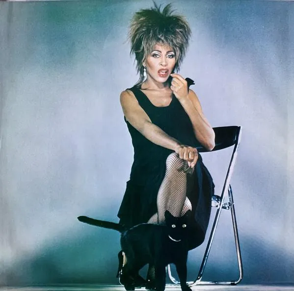 Turner, Tina - Private Dancer - Hot Stamper (Quiet Vinyl)