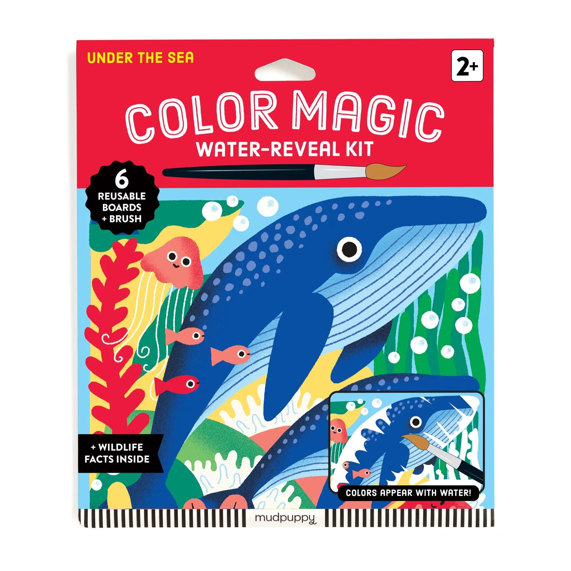 Under The Sea Water-Reveal Kit