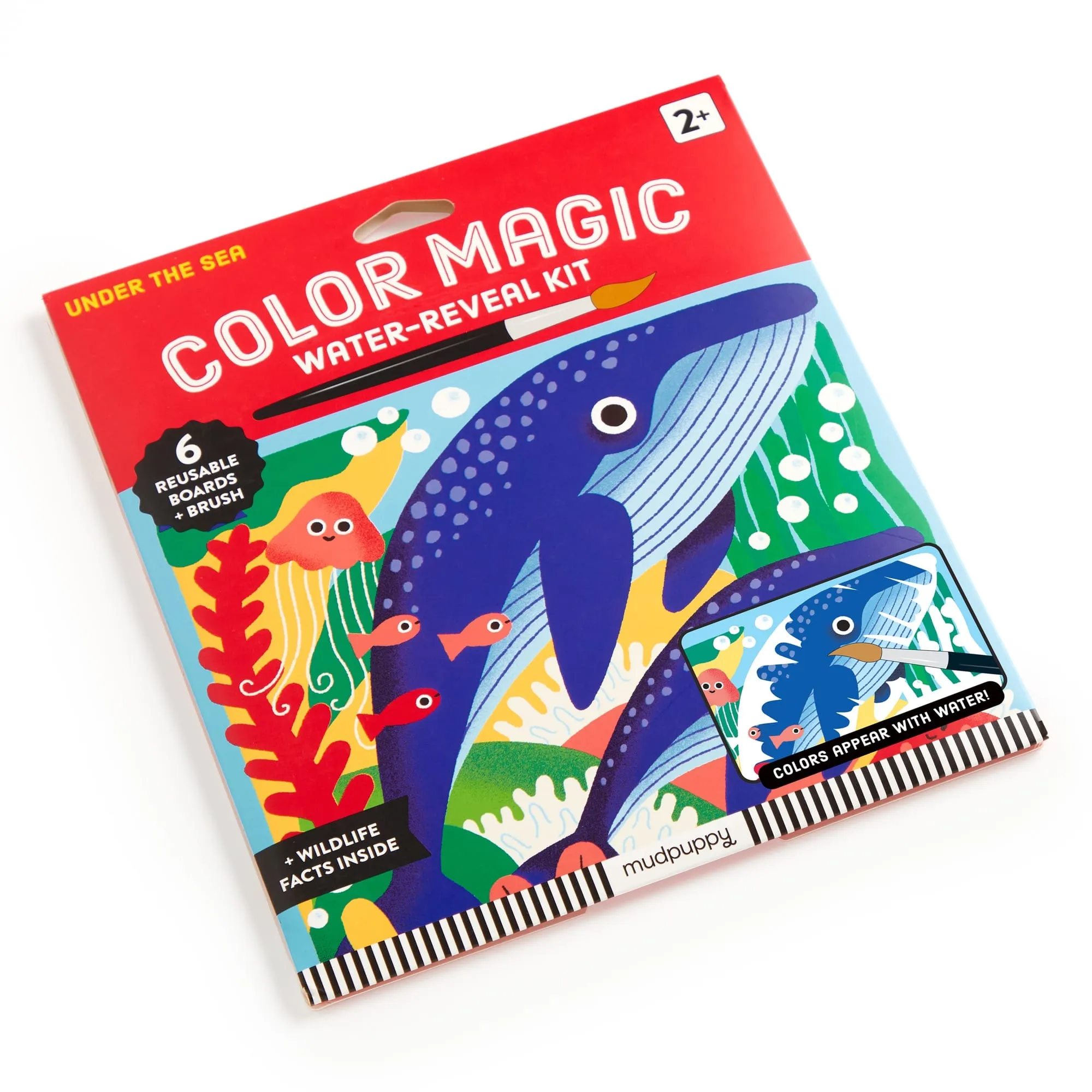 Under The Sea Water-Reveal Kit
