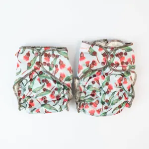 V2 Hybrid Fitted Nappy Cover| Native Gum