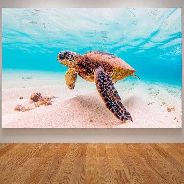 Wall Print: Ocean Sea Turtle