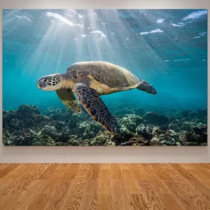 Wall Print: Ocean Sea Turtle