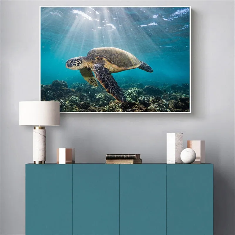Wall Print: Ocean Sea Turtle