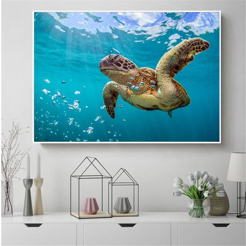 Wall Print: Ocean Sea Turtle