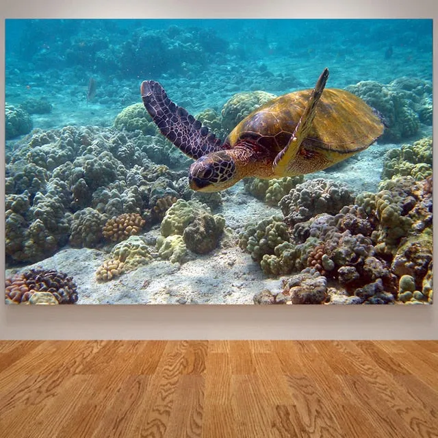 Wall Print: Ocean Sea Turtle
