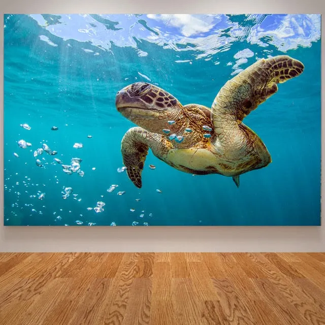 Wall Print: Ocean Sea Turtle