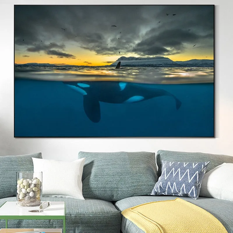Wall Print: Orca In Polar Night