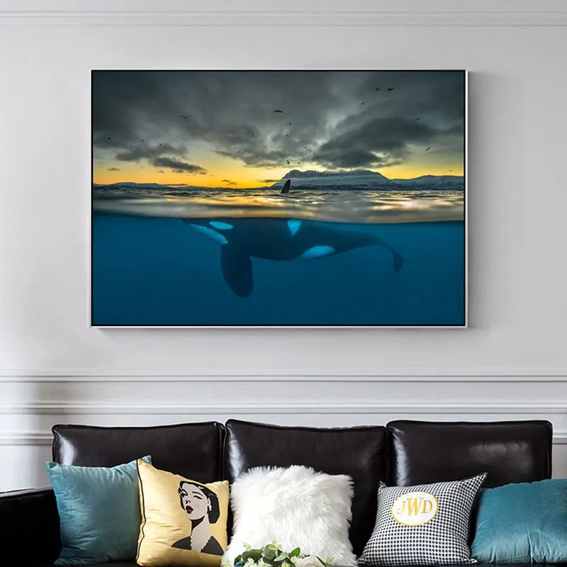 Wall Print: Orca In Polar Night
