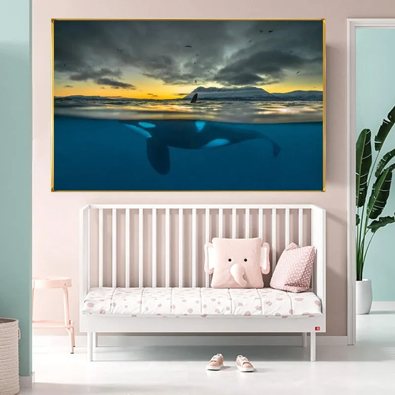 Wall Print: Orca In Polar Night