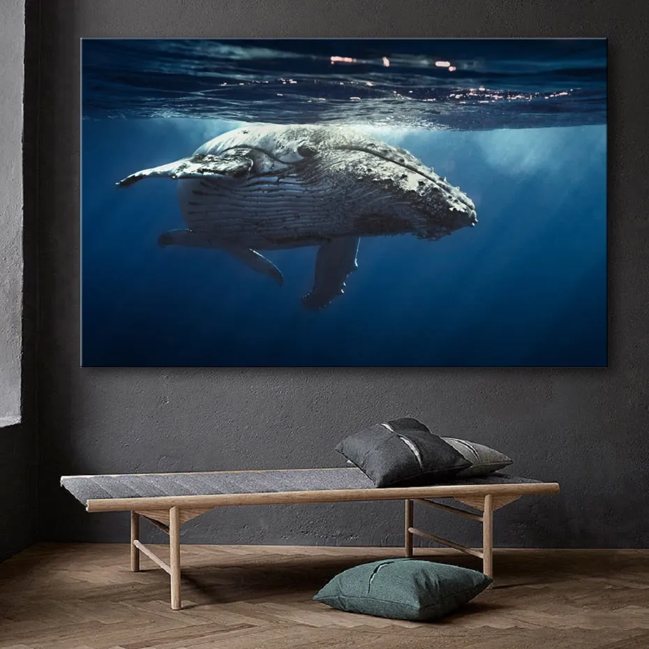 Wall Print: Whale Shark & Humpback Whale