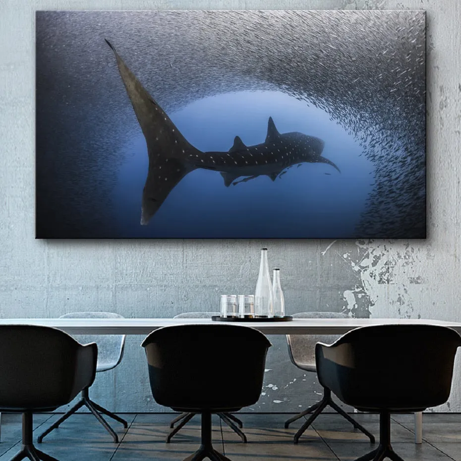 Wall Print: Whale Shark & Humpback Whale