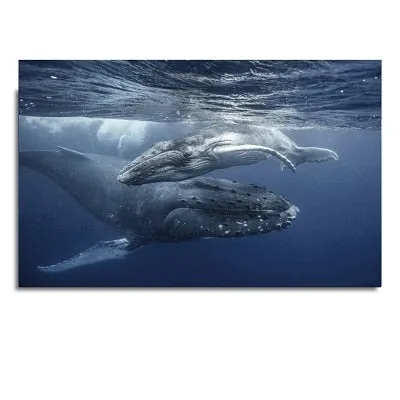 Wall Print: Whale Shark & Humpback Whale