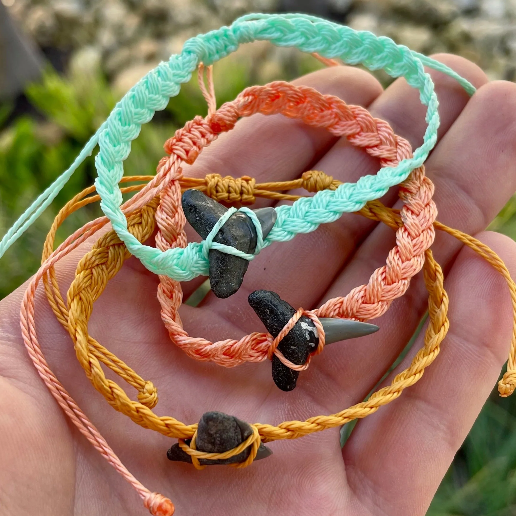 Waterproof Shark Fossil Bracelet