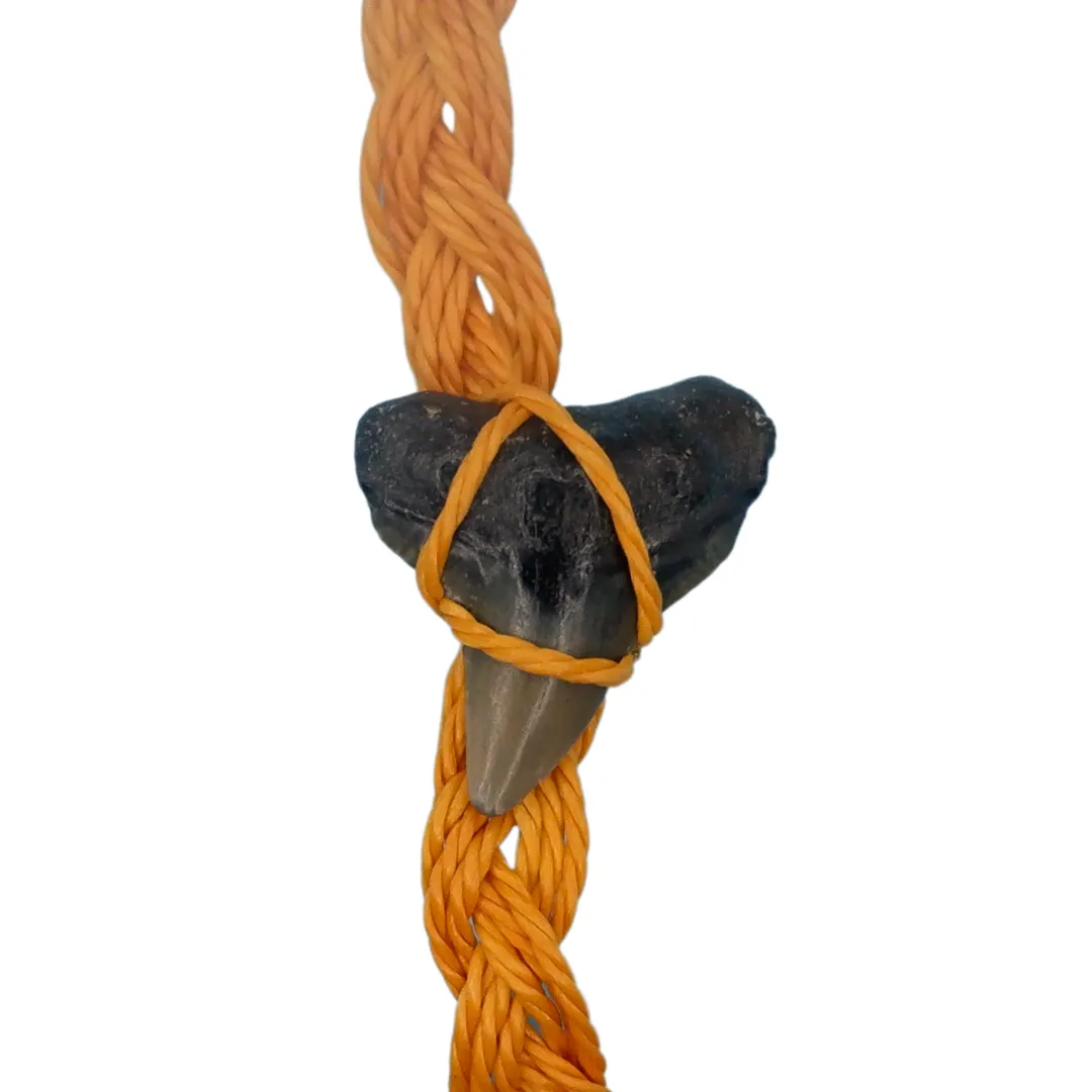 Waterproof Shark Fossil Bracelet