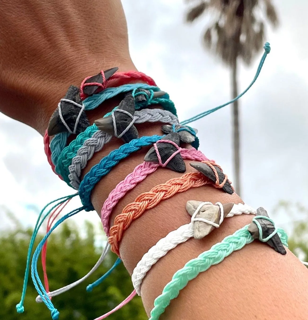 Waterproof Shark Fossil Bracelet
