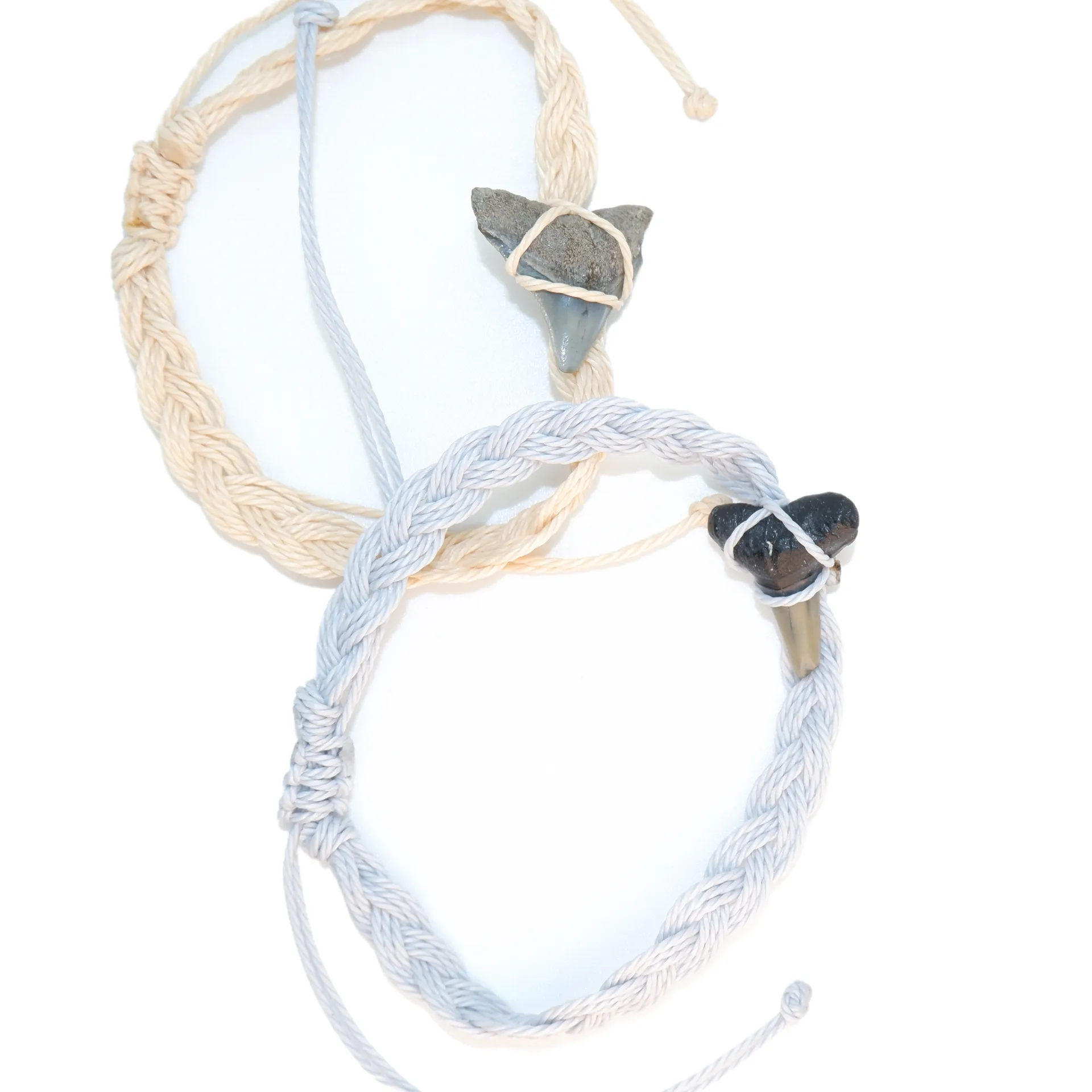 Waterproof Shark Fossil Bracelet