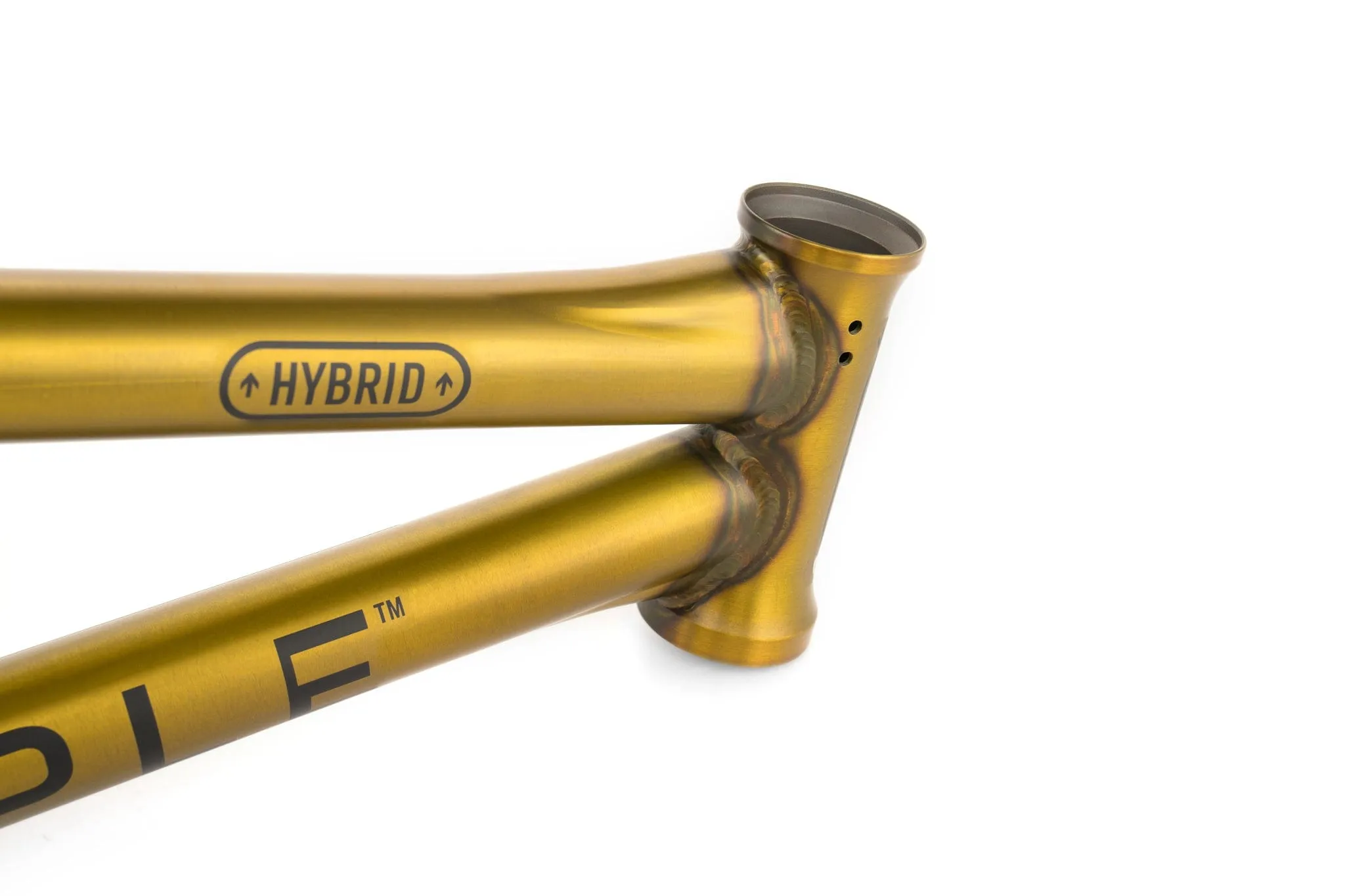We The People Utopia Hybrid Frame Matt Translucent Gold