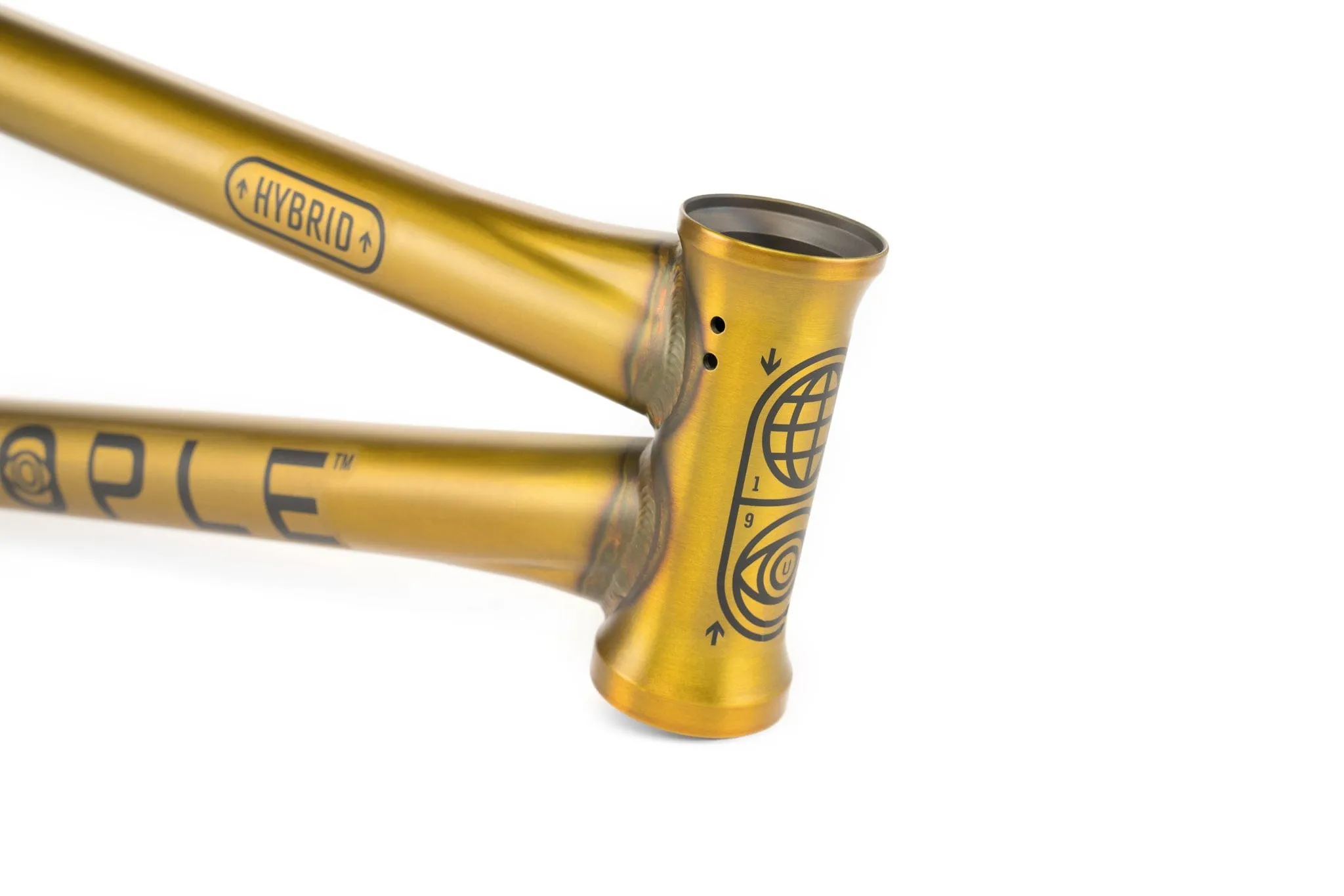 We The People Utopia Hybrid Frame Matt Translucent Gold