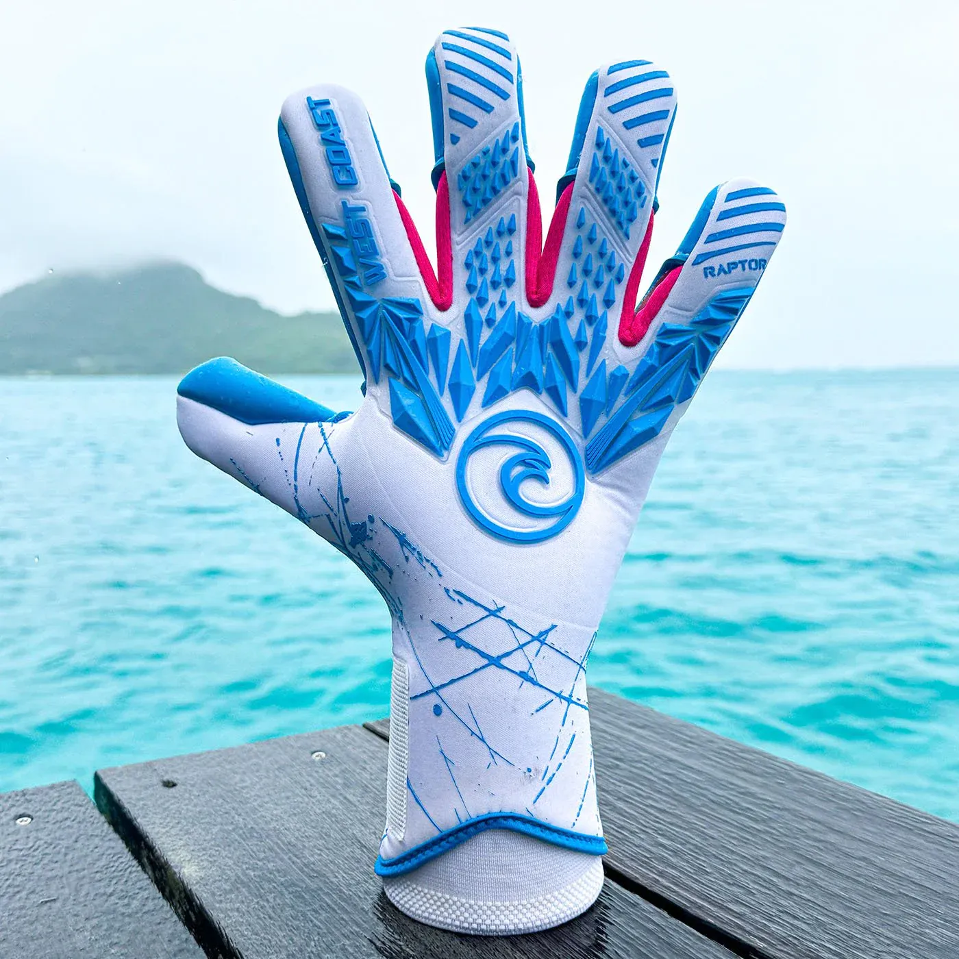 West Coast Raptor Typhoon Goalkeeper Gloves