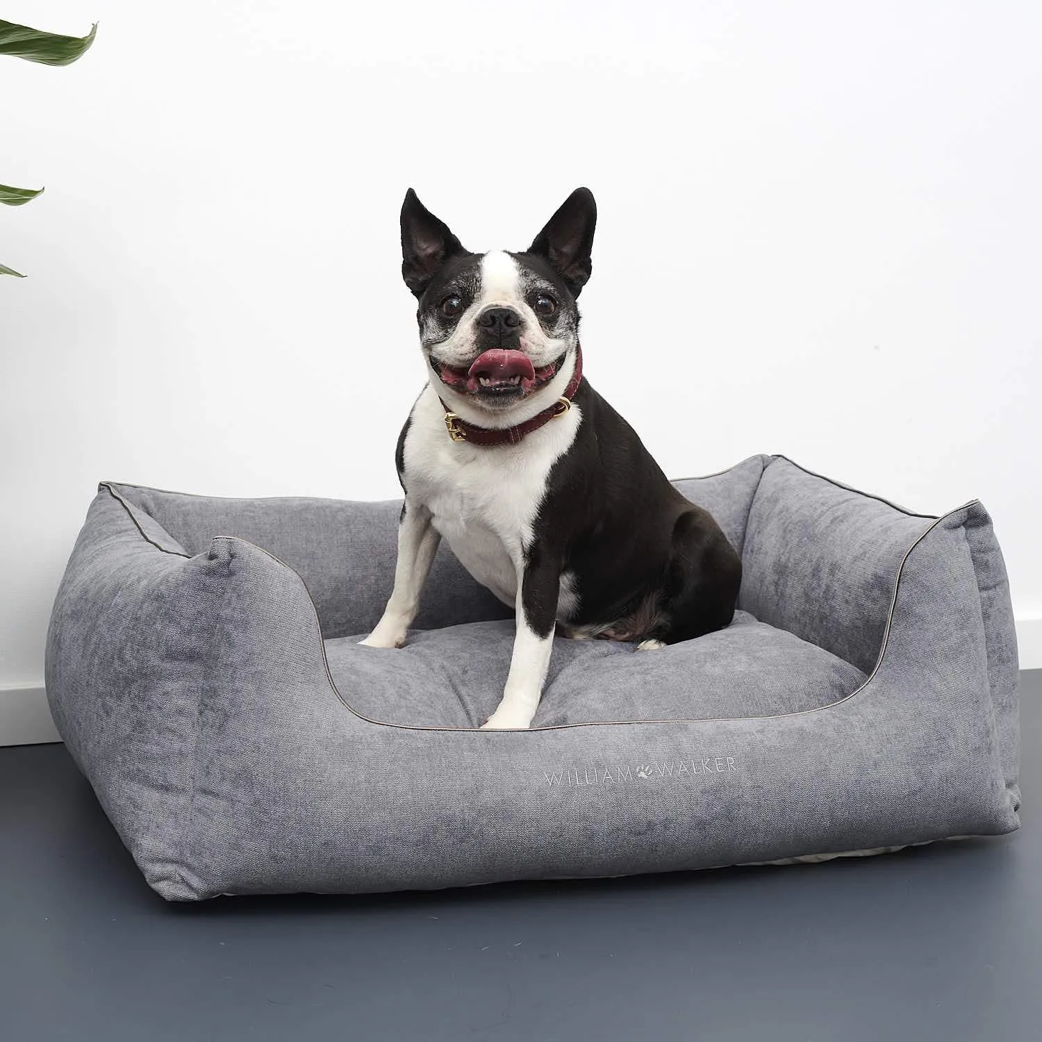 William Walker The Cloud Dog Bed