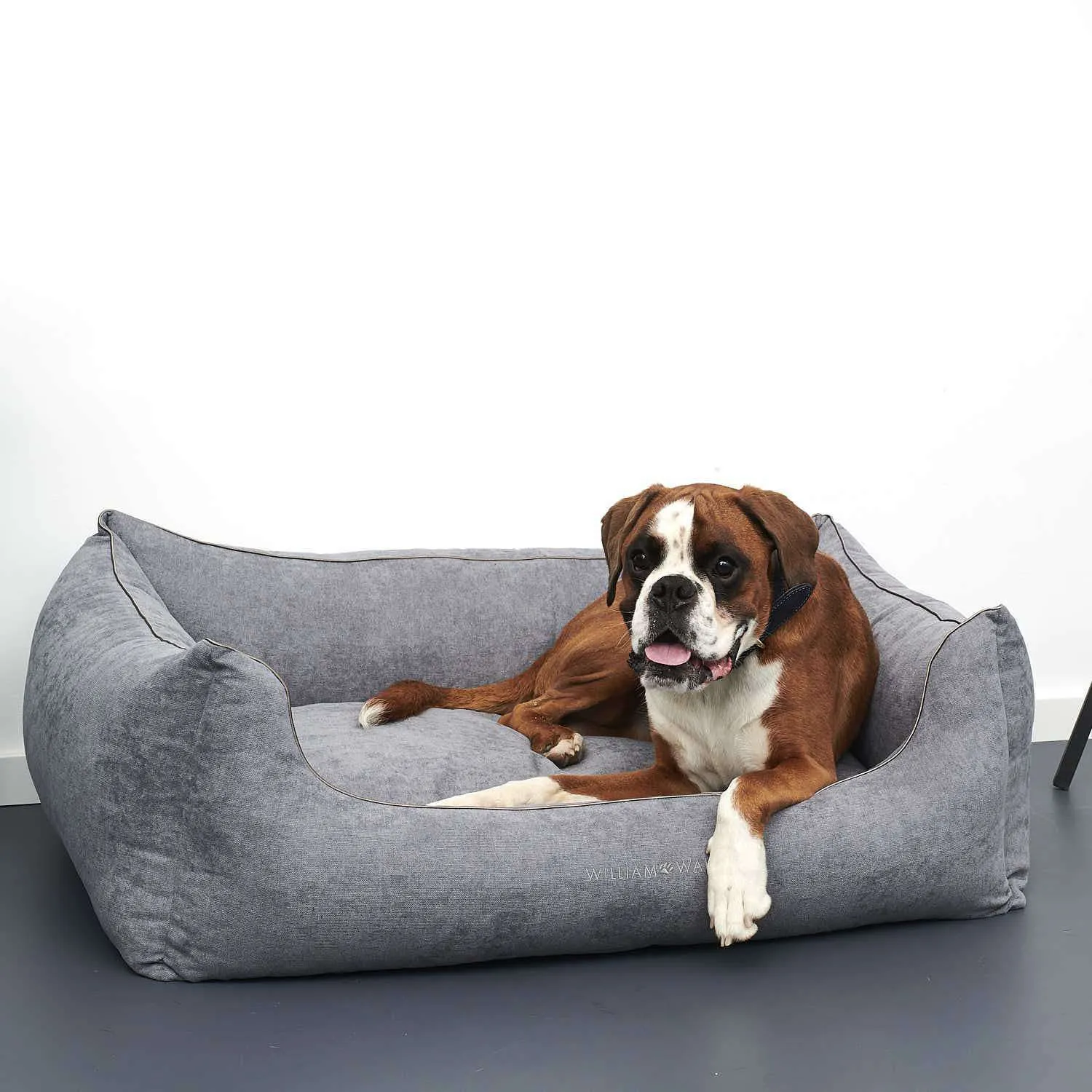 William Walker The Cloud Dog Bed