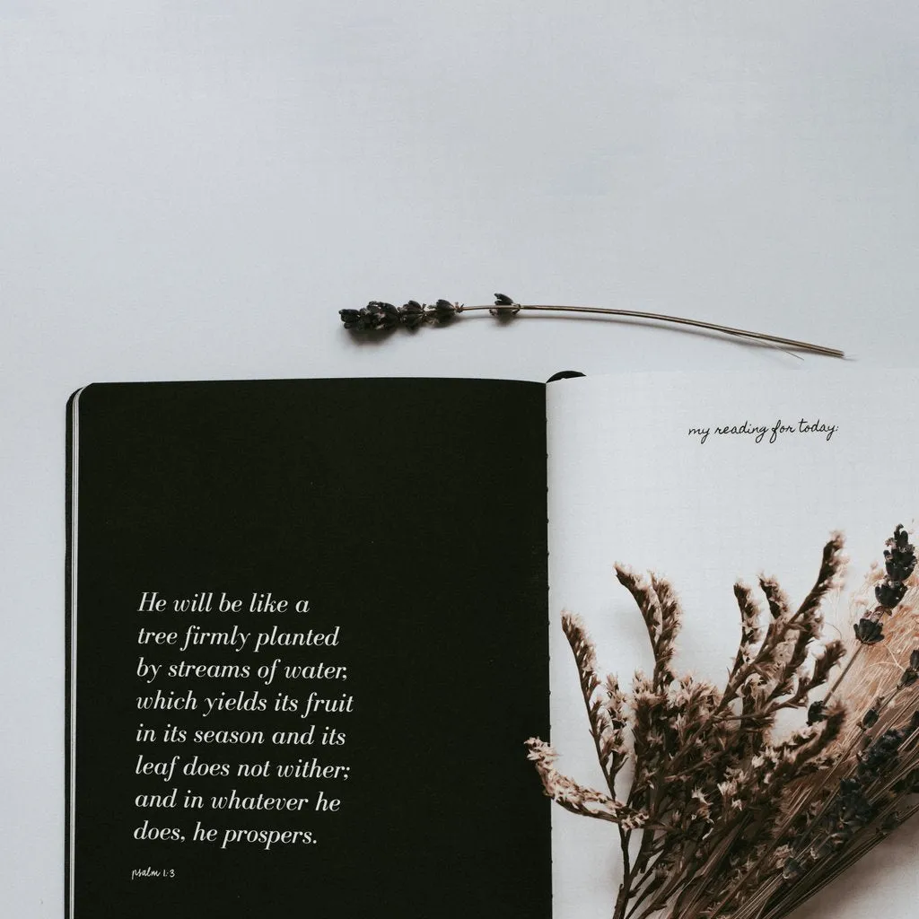 #Word 2.0 | Journal