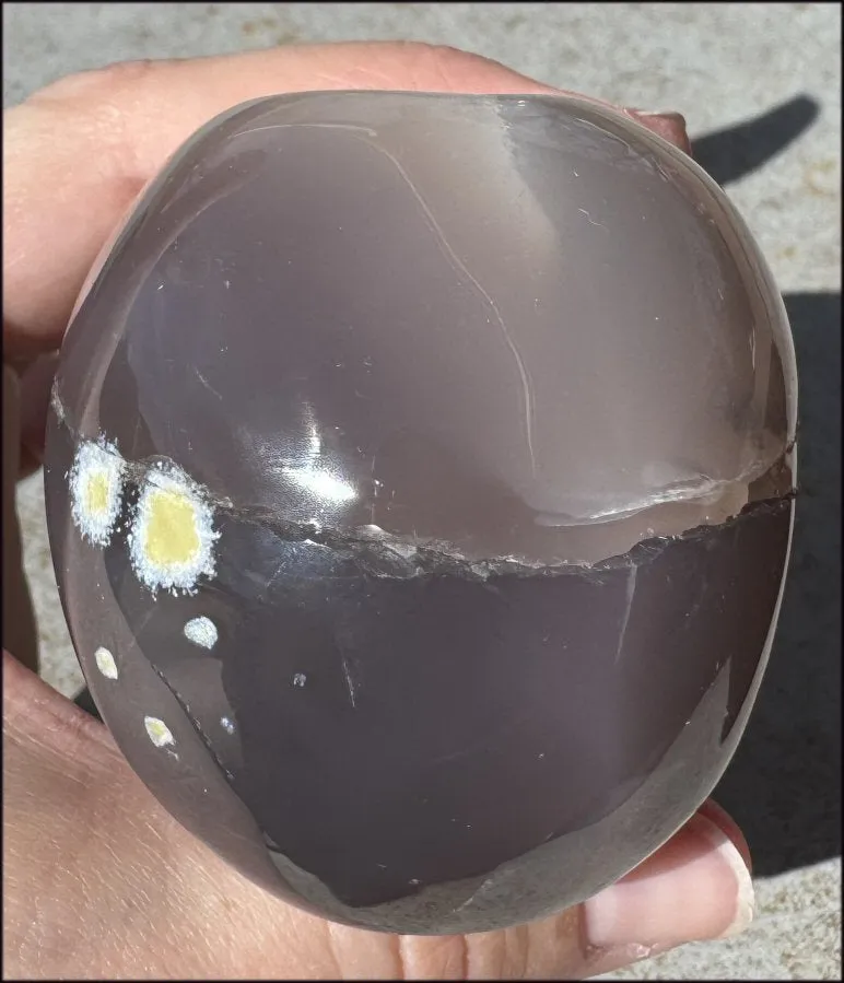 XL Agate GEODE Crystal Skull with large Druzy Lined VUG!