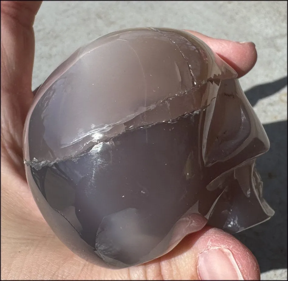 XL Agate GEODE Crystal Skull with large Druzy Lined VUG!