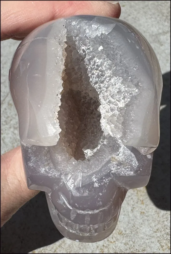 XL Agate GEODE Crystal Skull with large Druzy Lined VUG!