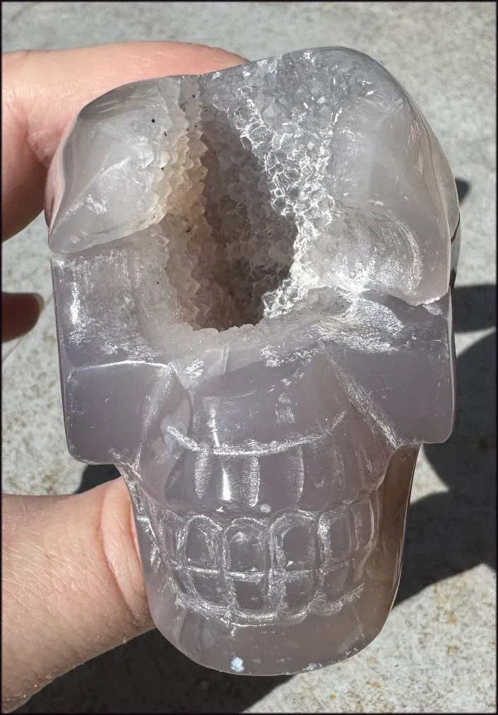 XL Agate GEODE Crystal Skull with large Druzy Lined VUG!
