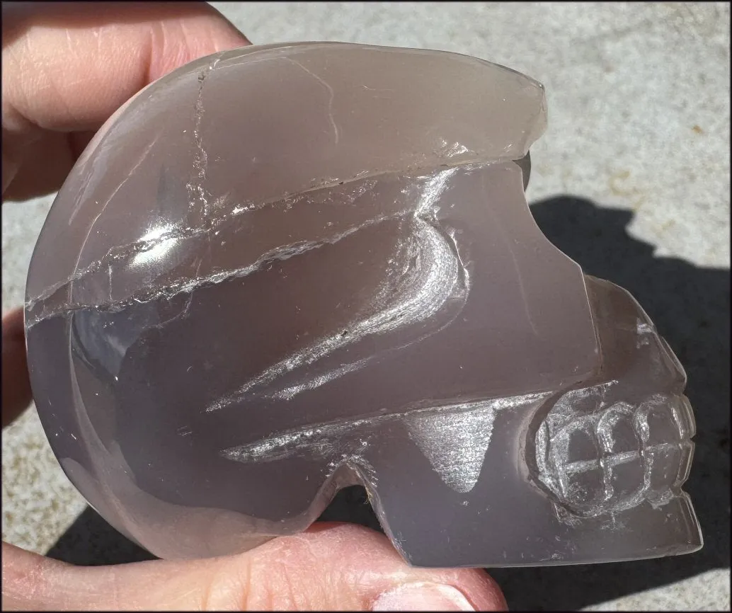 XL Agate GEODE Crystal Skull with large Druzy Lined VUG!