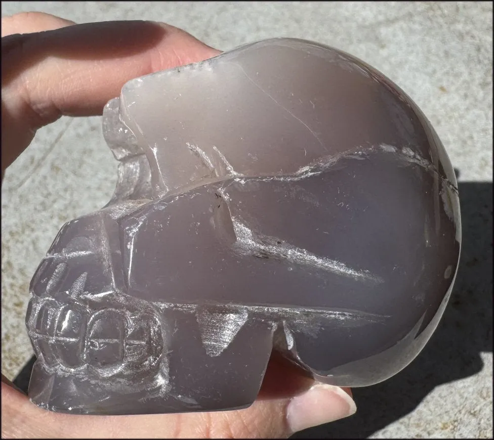 XL Agate GEODE Crystal Skull with large Druzy Lined VUG!