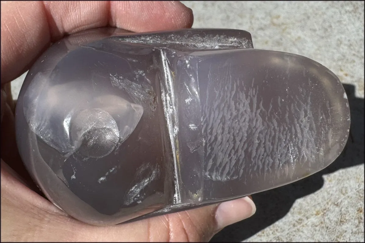 XL Agate GEODE Crystal Skull with large Druzy Lined VUG!