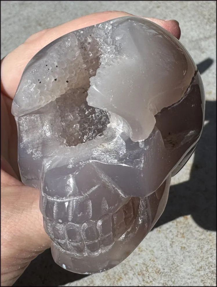 XL Agate GEODE Crystal Skull with large Druzy Lined VUG!