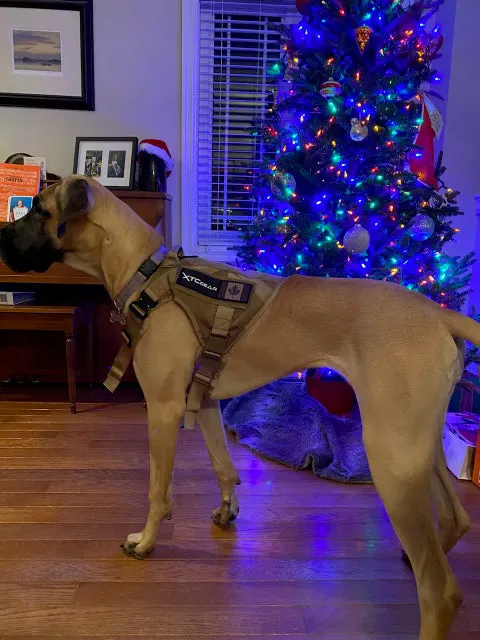 XTC Gear | X-Series Tactical K9 Harness