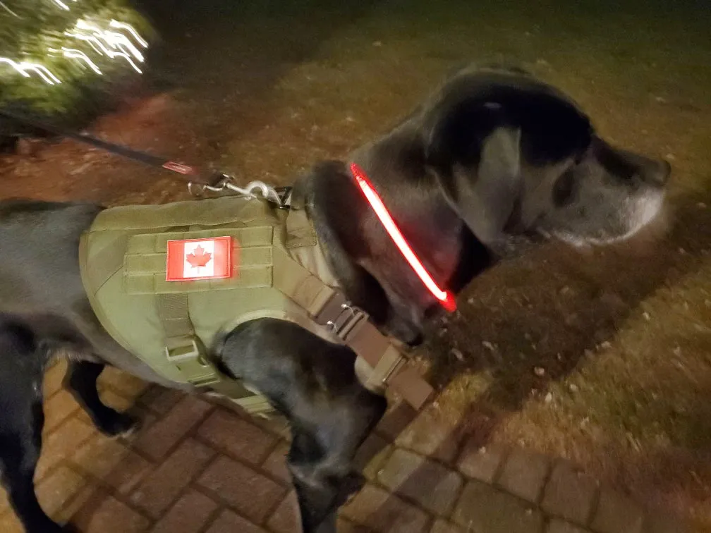 XTC Gear | X-Series Tactical K9 Harness