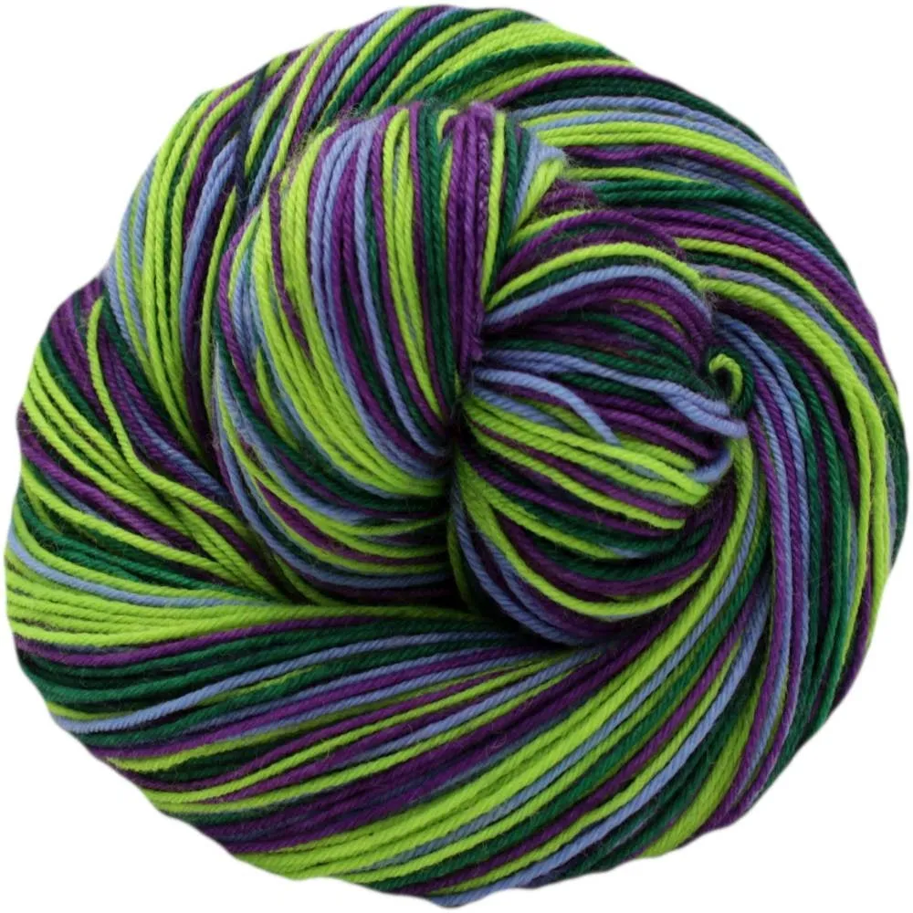 Xylem